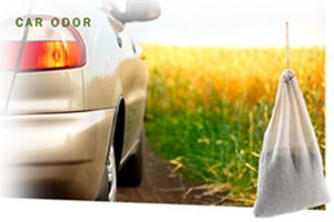 SMELLEZE Reusable Car Odor Removal Pouch: Large